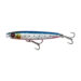 pink-belly-sardine