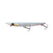 red-belly-sardine