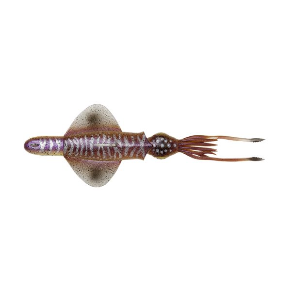 78155 - catfish 78155 - catfish