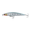 LS SARDINE