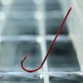 Red-Carlisle-Bloodworm-R-4