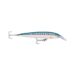 sm-silver-mackerel