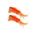 orange-glass-glow-uv