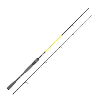 Seika Intense AR