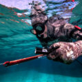 seac_t5_13